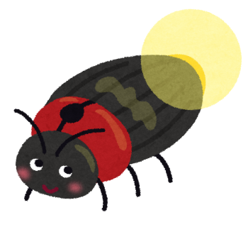 bug_hotaru