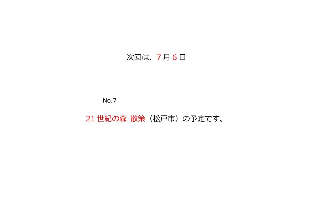 次回は○○の予定です。