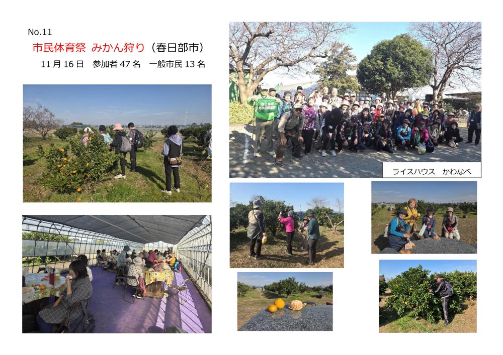 No11市民体育祭みかん狩り
