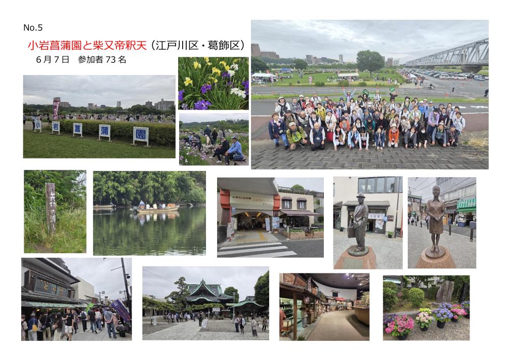 小岩菖蒲園と柴又帝釈天