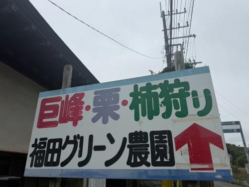 LINE_ALBUM_秋歩行訓練ぶどう狩り９月13日_260914_1