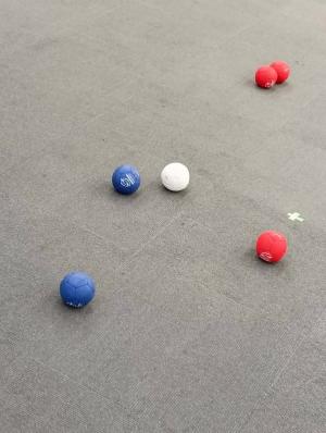 LINE_ALBUM_4月１１日ボッチャ大会_260412_24