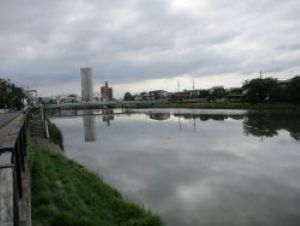 03(2)IMG_1694大落古利根川と公園橋