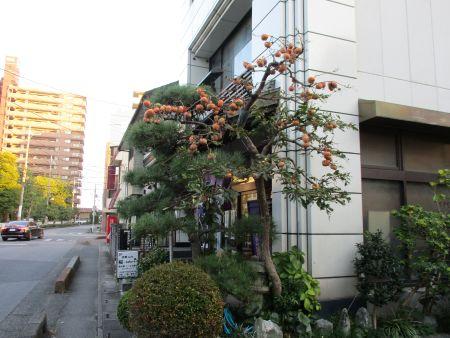 43(2)IMG_2781小さい秋2