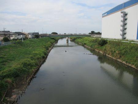 46(2)IMG_2747 ながぬま橋から中川上流
