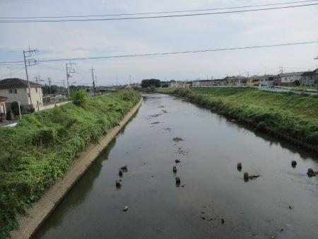 46(3)IMG_2749 ながぬま橋から中川下流