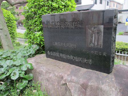 56(1)IMG_3257 春日部薬草園跡碑