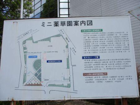 56(2)IMG_3170 ミニ薬草園看板