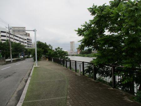 60(3)IMG_3381 大落古利根川 右岸遊歩道1