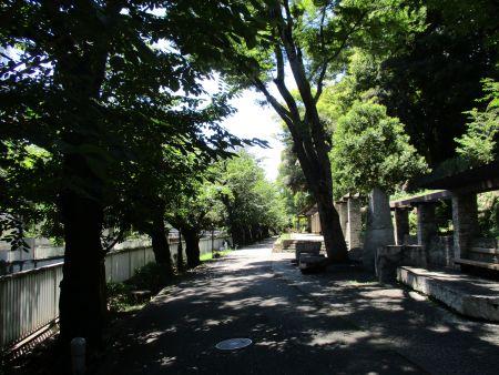 61(3)IMG_3467 江戸川公園2
