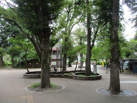 63(2) IMG_3507 井之頭公園1