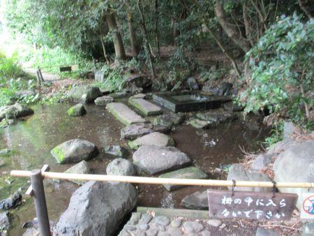 63(5)IMG_3510 井之頭公園 御茶ノ水2