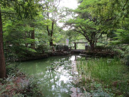 64(1)MG_3518 井之頭池.ひょうたん橋