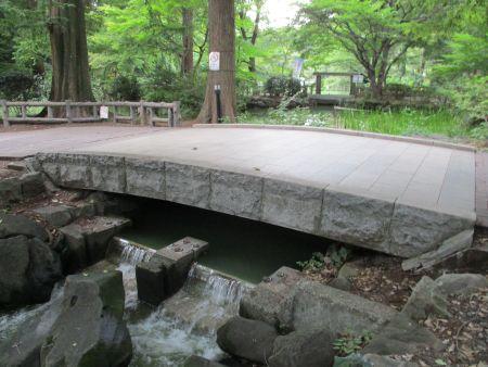 64(3)IMG_3520 神田川.水門橋からの落水