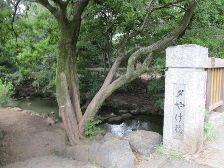 64(7)IMG_3525 夕焼け橋