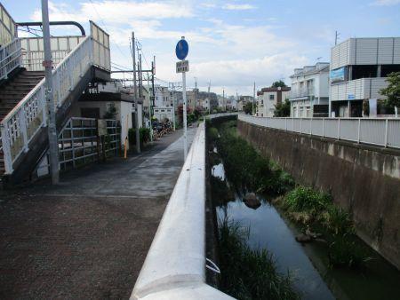 64(9)IMG_3527 三鷹台駅前丸山橋からの神田川上流