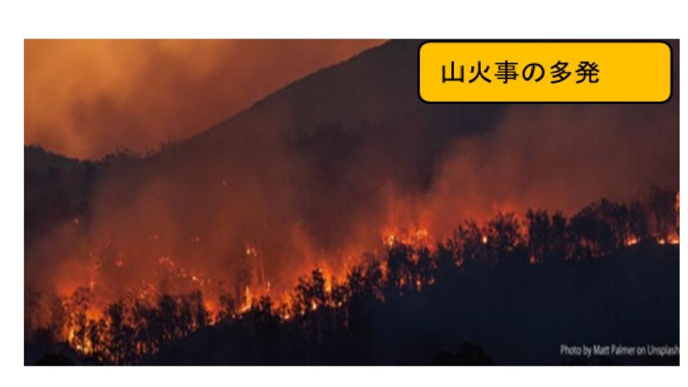 E02 (1)山火事の多発