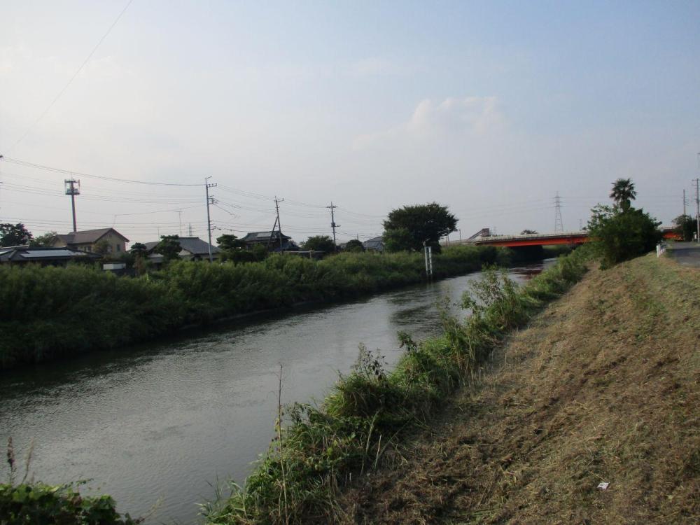 39(2) 新川橋からの中川上流