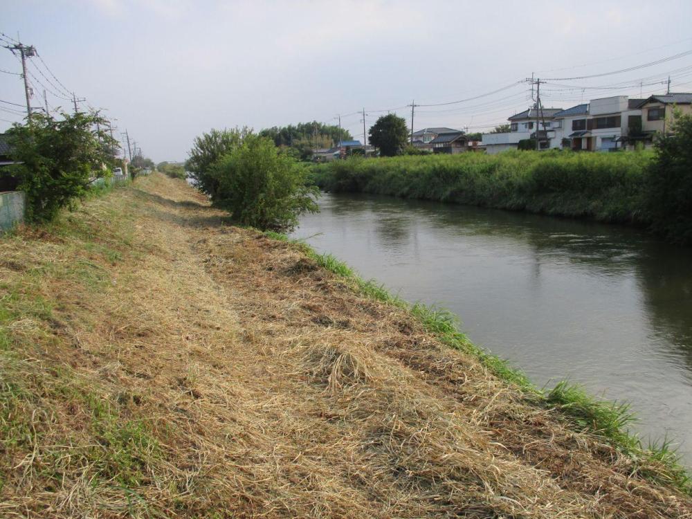 39(3) 新川橋から中川下流